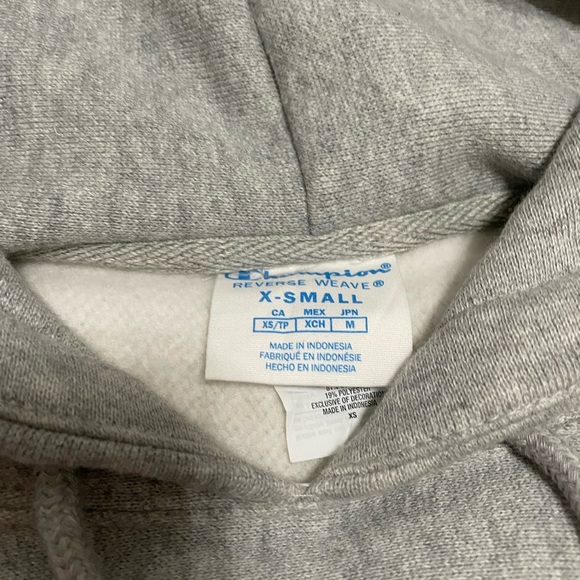 Champion Oversized Cropped Hoodie - Picture 3 of 3
